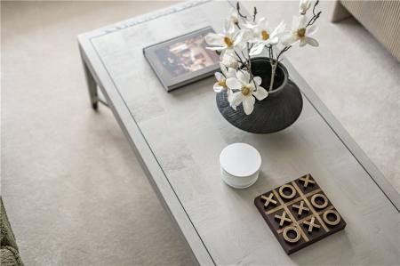 Show Home