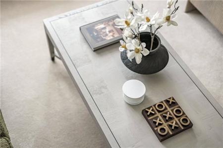 Show Home