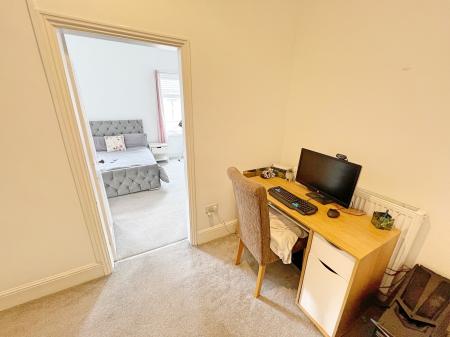 Study Area