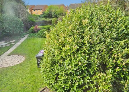 Rear Garden / Plot