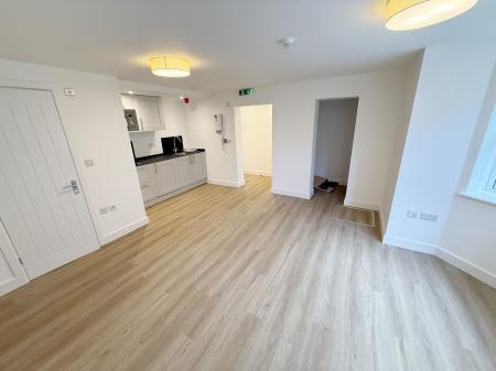 Living Room / Bedroom