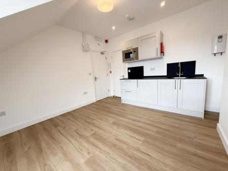 Living Room / Bedroom