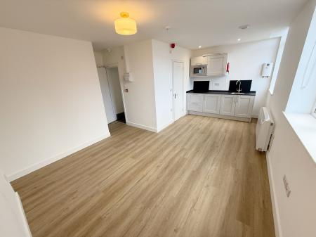 Living Room / Bedroom