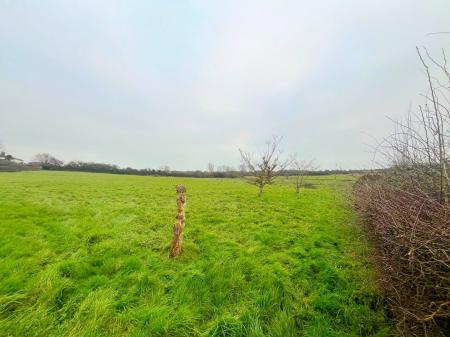 Picture No. 09