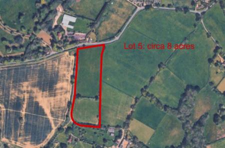 Lot 5