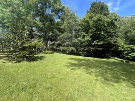 Picture No. 21