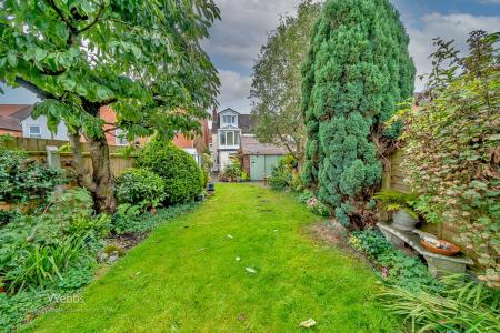 Webbs  (41 of 166).jpg