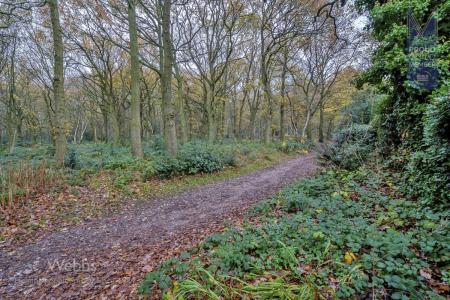 © Webbs Estate Agents © (35 of 35).jpg