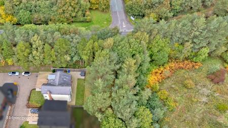 new DJI_0504 copy.jpg