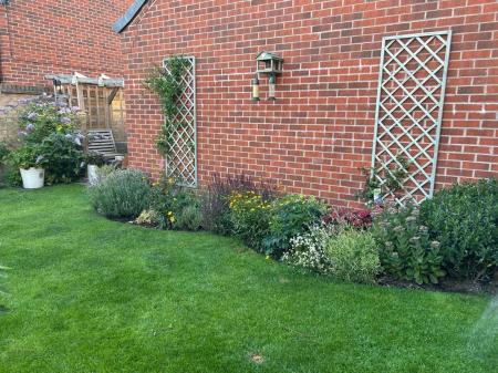 WhatsApp Image 2026-01-24 at 15.52.26.jpeg