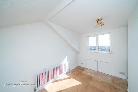 Webbs-20.JPG