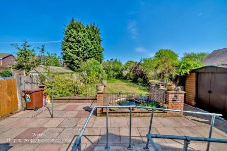 mature rear garden