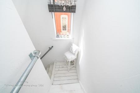 Webbs-20.JPG