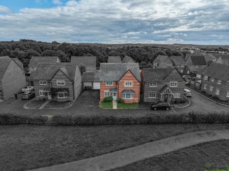 dji_fly_20260911_114440_0292_1789139370208_photo.j