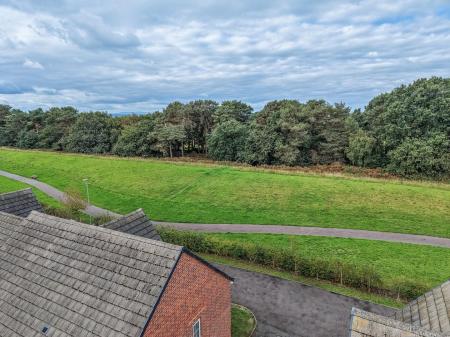 dji_fly_20260911_114206_0286_1789139370966_photo.j