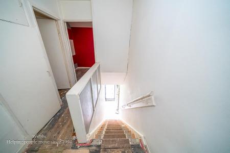 Webbs-18.JPG
