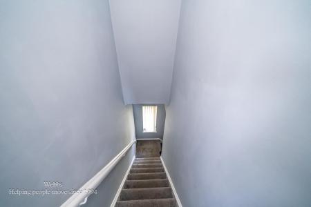 Webbs-23.JPG