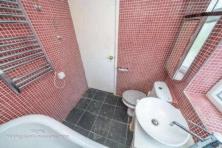 Webbs-26.JPG