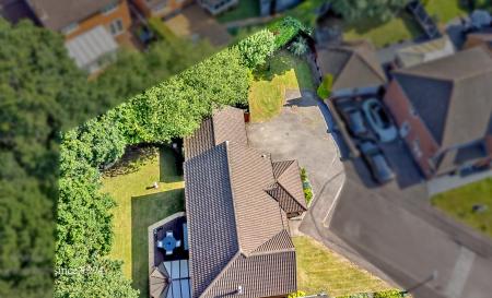 Webbs-9 copy.jpg