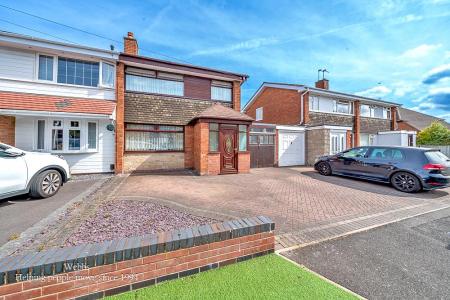 webbs -3.JPG
