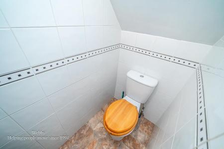 webbs -13.JPG