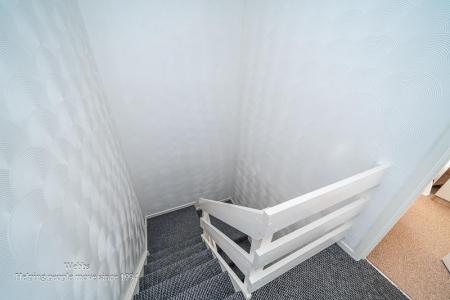 webbs -17.JPG