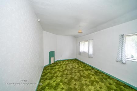 webbs -26.JPG