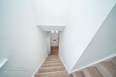 webbs -12.JPG