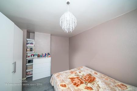 webbs -15 copy.jpg