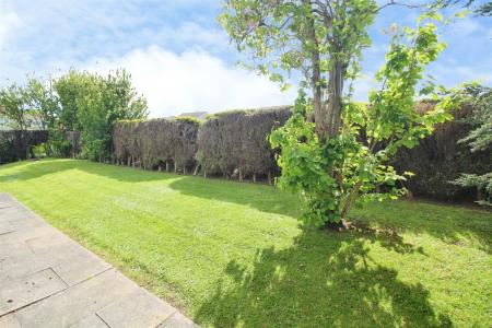 Side garden