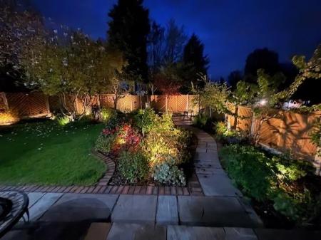 Rear at night