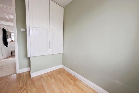 (Main)
