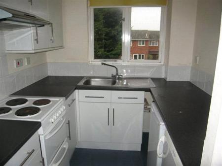 54 vignoles kit(Smal