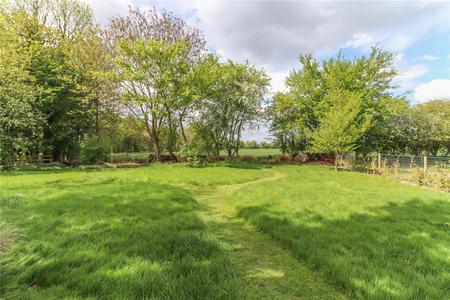 Picture No. 33