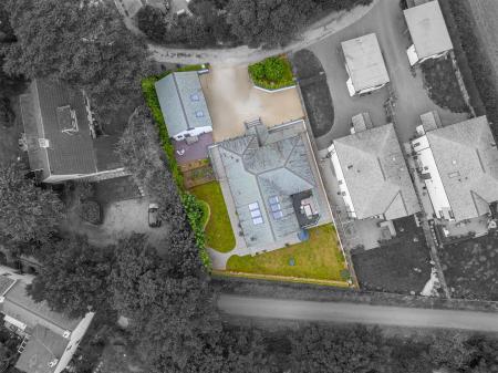 shelleys black and white.jpg