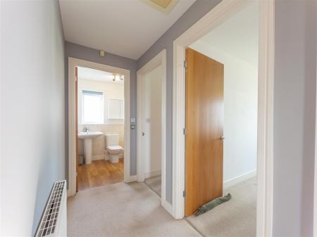 63 Hellis Wartha-13.jpg