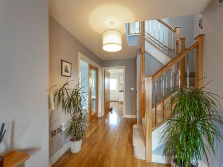 63 Hellis Wartha-8.jpg