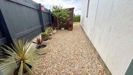 side garden.jpg