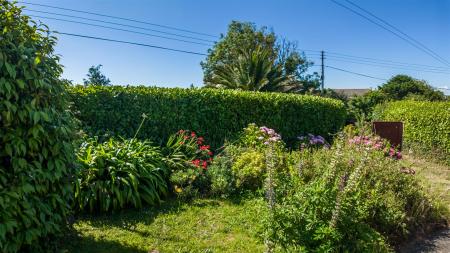 CarnKillick-29.jpg