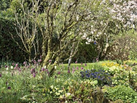 Pretty Front Gardens