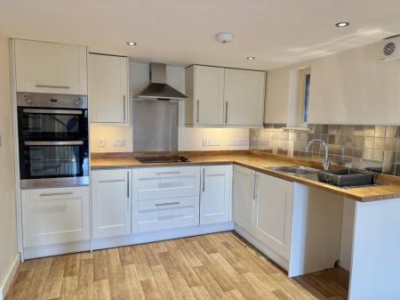 Modern Kitchen with dishwasher