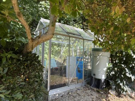 Greenhouse + mature Magnolia tree