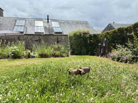 Beautiful Gardens
