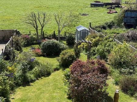 Beautiful Garden