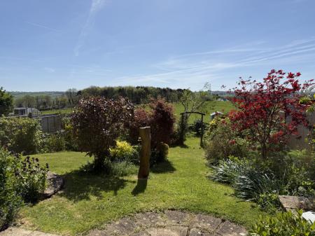 Beautiful Garden