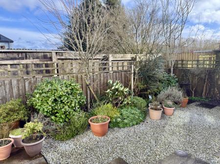 Well Stocked Shrub Border