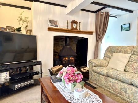 Log Burner