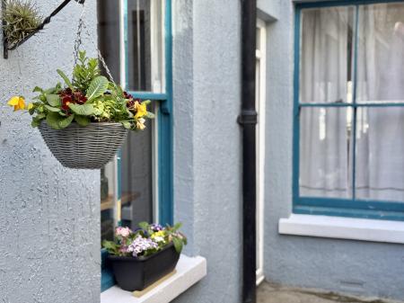 Sunny Courtyard Garden