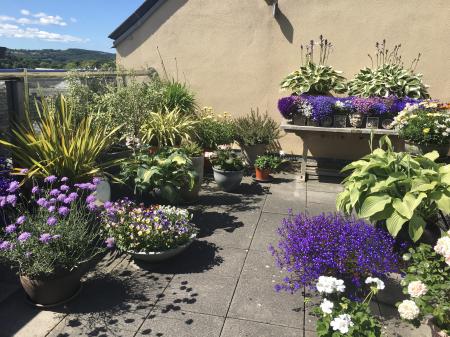 Private roof terrace (vendors own photo)
