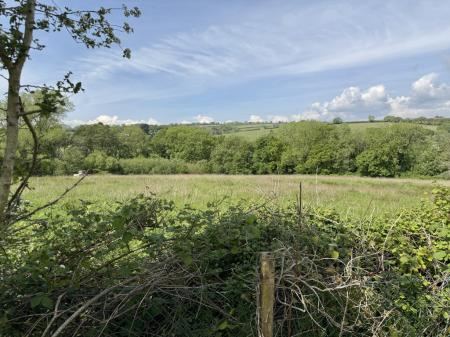 Views from Garden